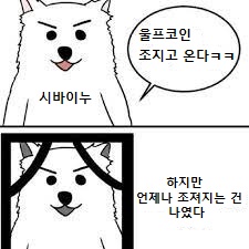 조져지는건 나였다.jpg