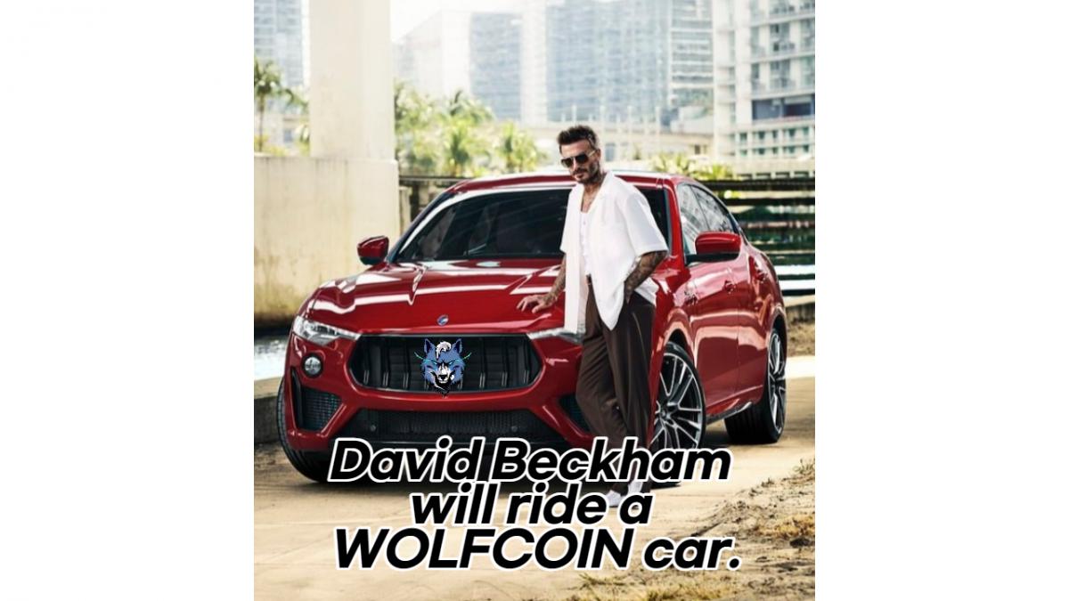 WOLFCOIN.png.jpg