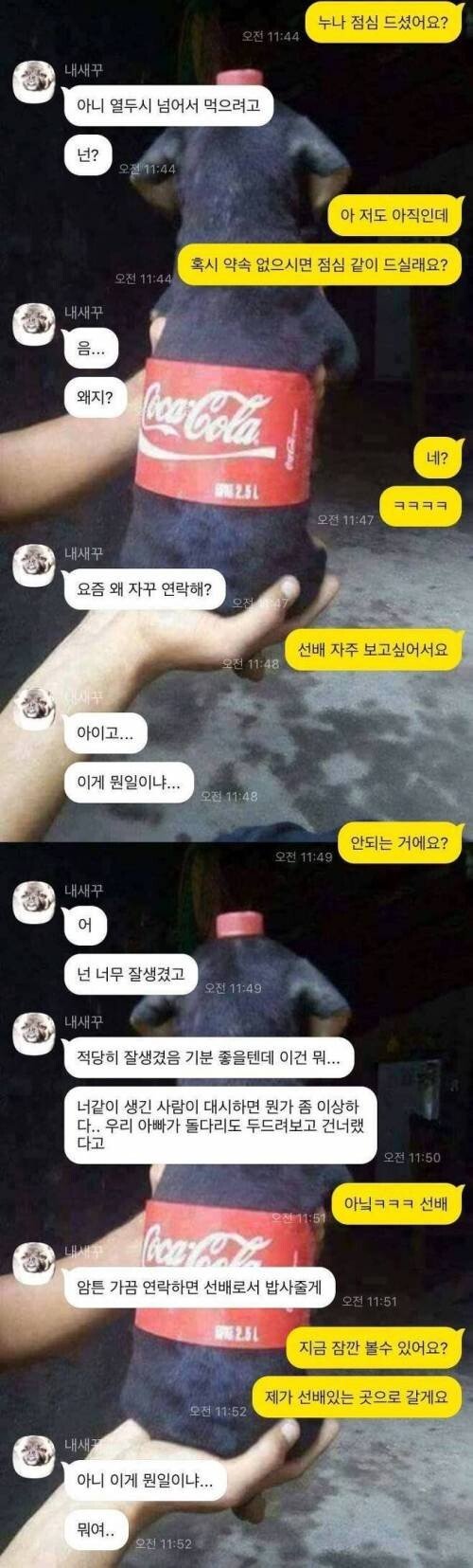 Internet_20211130_084045.jpeg 사실은 여자들도 잘생긴 남자 불편해 함.jpg