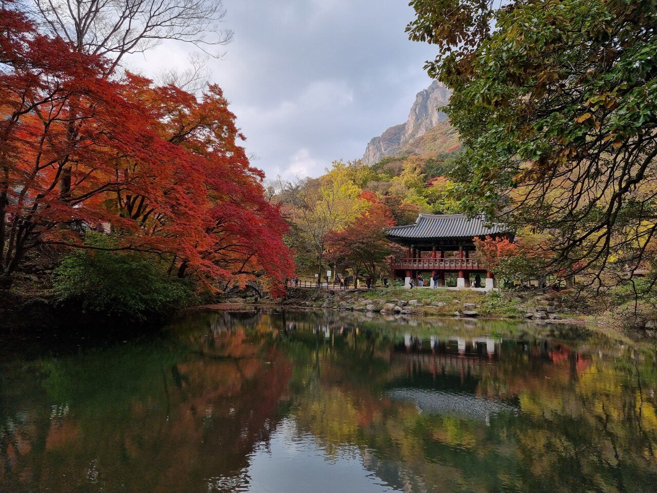 20211101_154331.jpg 2021년10월 23일 ~ 11월 7일 스쿠터 전국일주 하면서 바라본 풍경들(3)