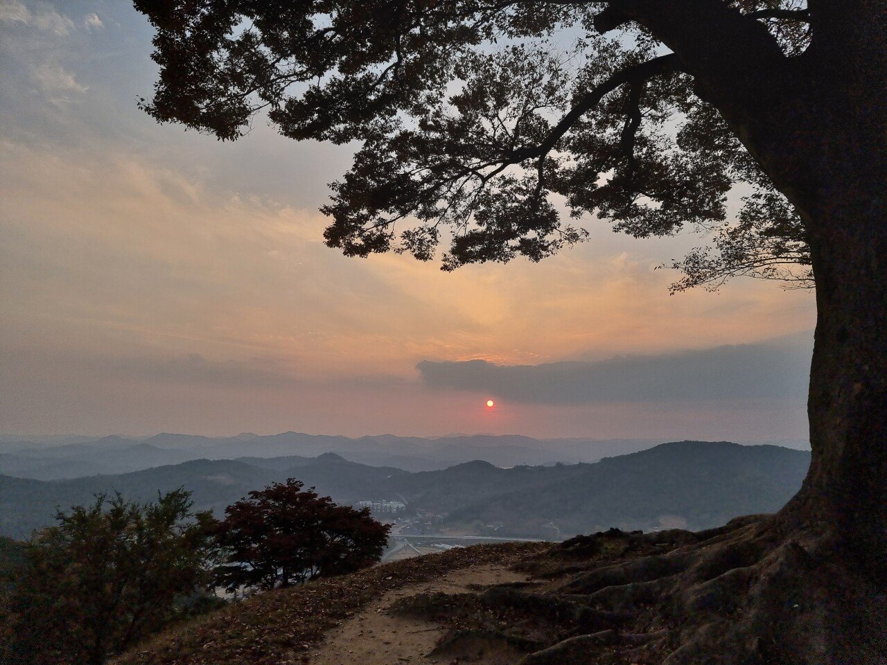 20211102_171635.jpg 2021년10월 23일 ~ 11월 7일 스쿠터 전국일주 하면서 바라본 풍경들(3)