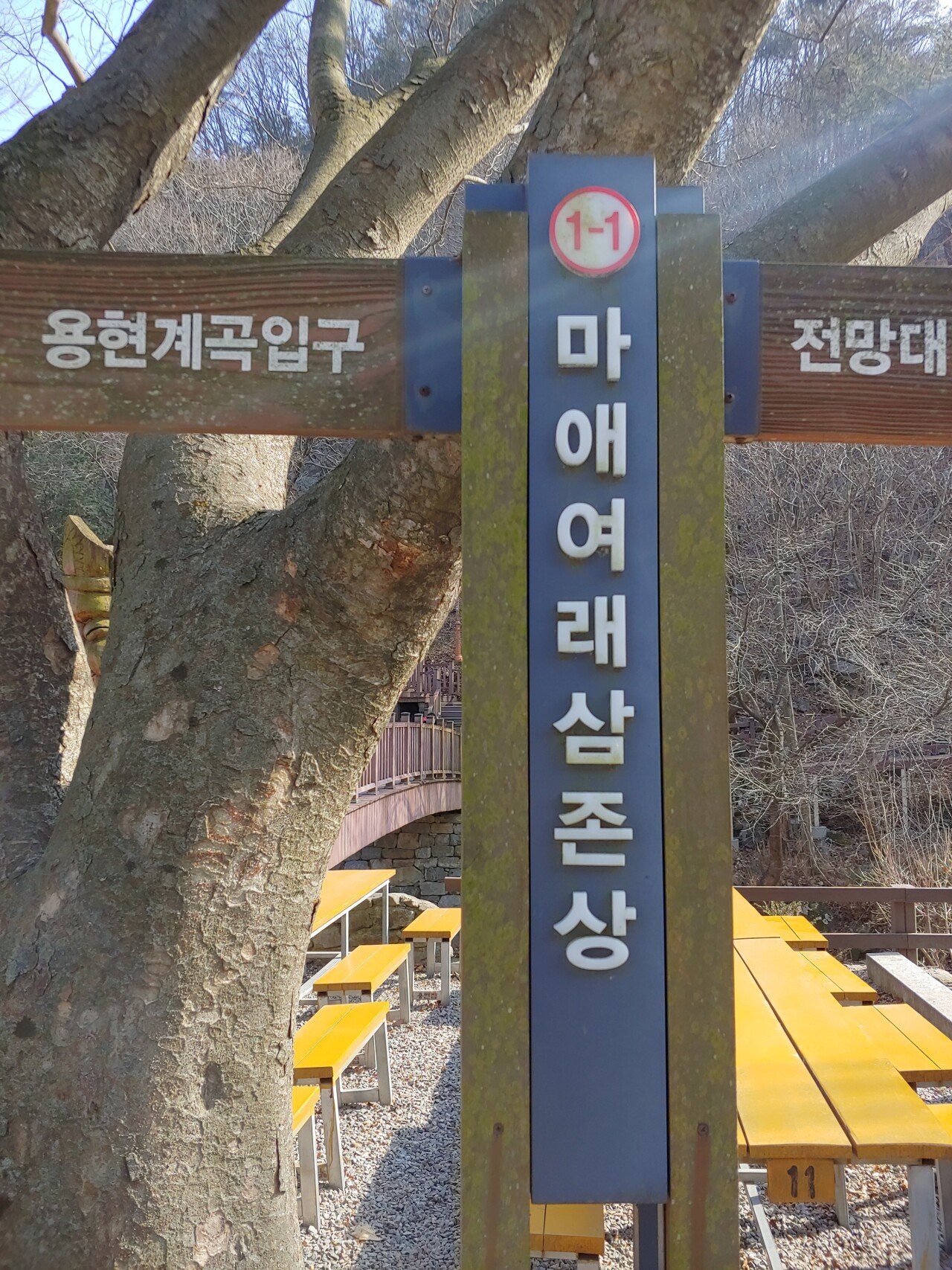 20200209_142349_HDR.jpg 20.02.09 충남 서산 나홀로 당일치기