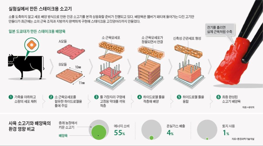 배양육 가격을 낮추게 만든 방법1.jpg