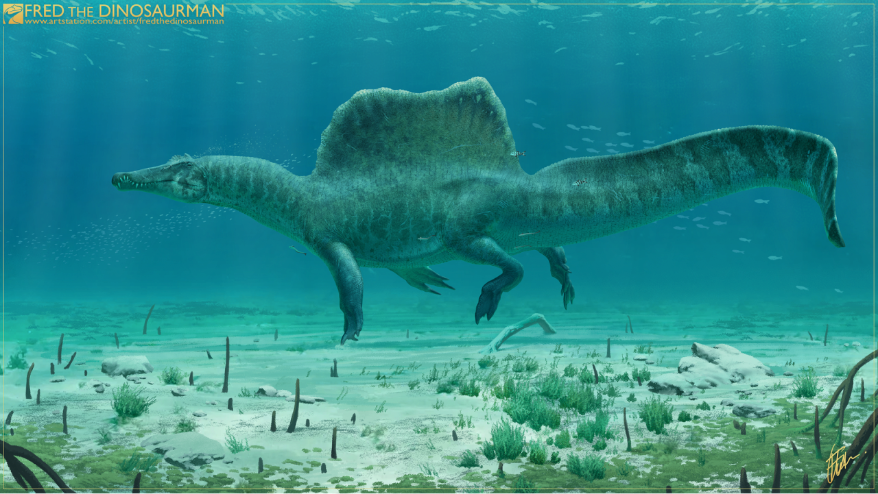 spinosaurus_2020_by_fredthedinosaurman_dea9vu2-fullview.png 아프리카코끼리에 대한 놀라운 사실