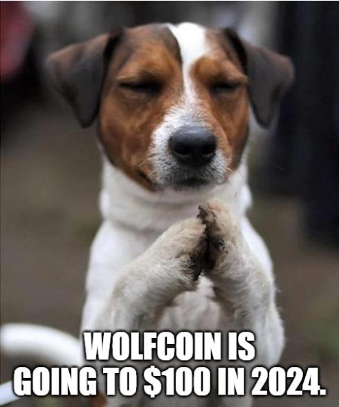 wolfcoin100dallor.png.jpg