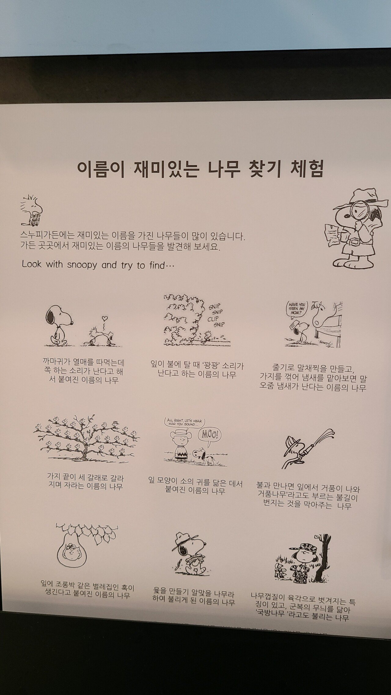 제주도 스누피가든 갔다왔습니다.