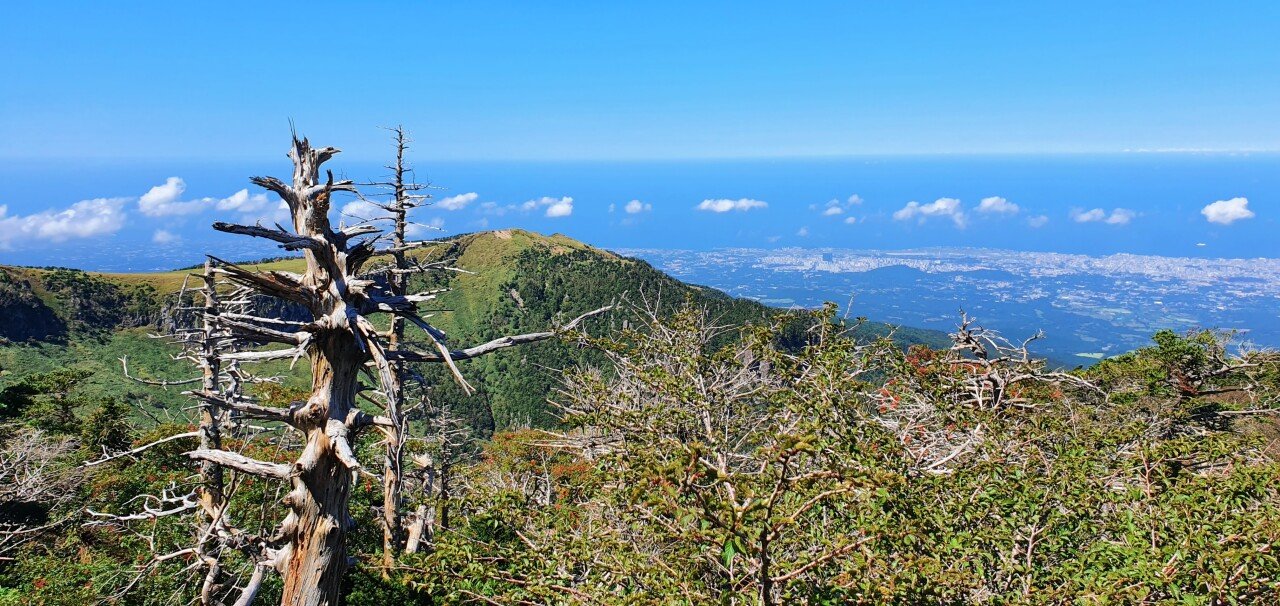 20210919_131644.jpg 한라산 백록담 (관음사 탐방로)