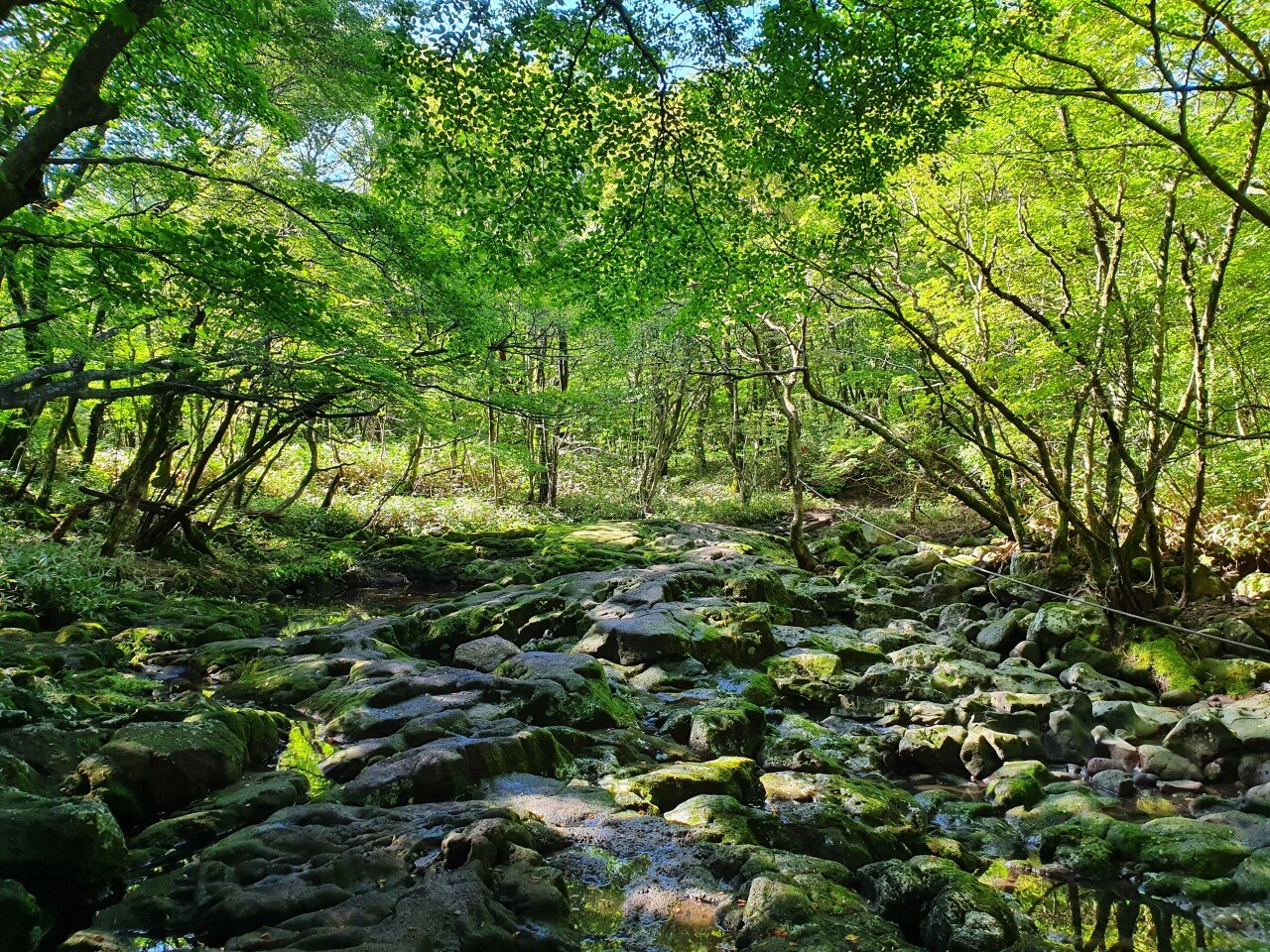 20210919_094952.jpg 한라산 백록담 (관음사 탐방로)