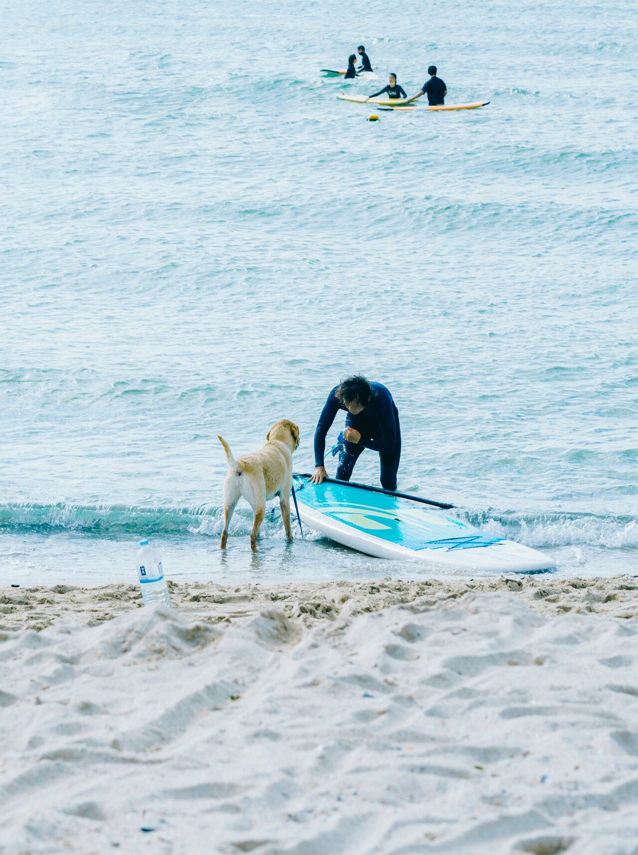 KakaoTalk_20211104_155126173_04.jpg (스압 주의) 2021년 9월의 제주도 여행