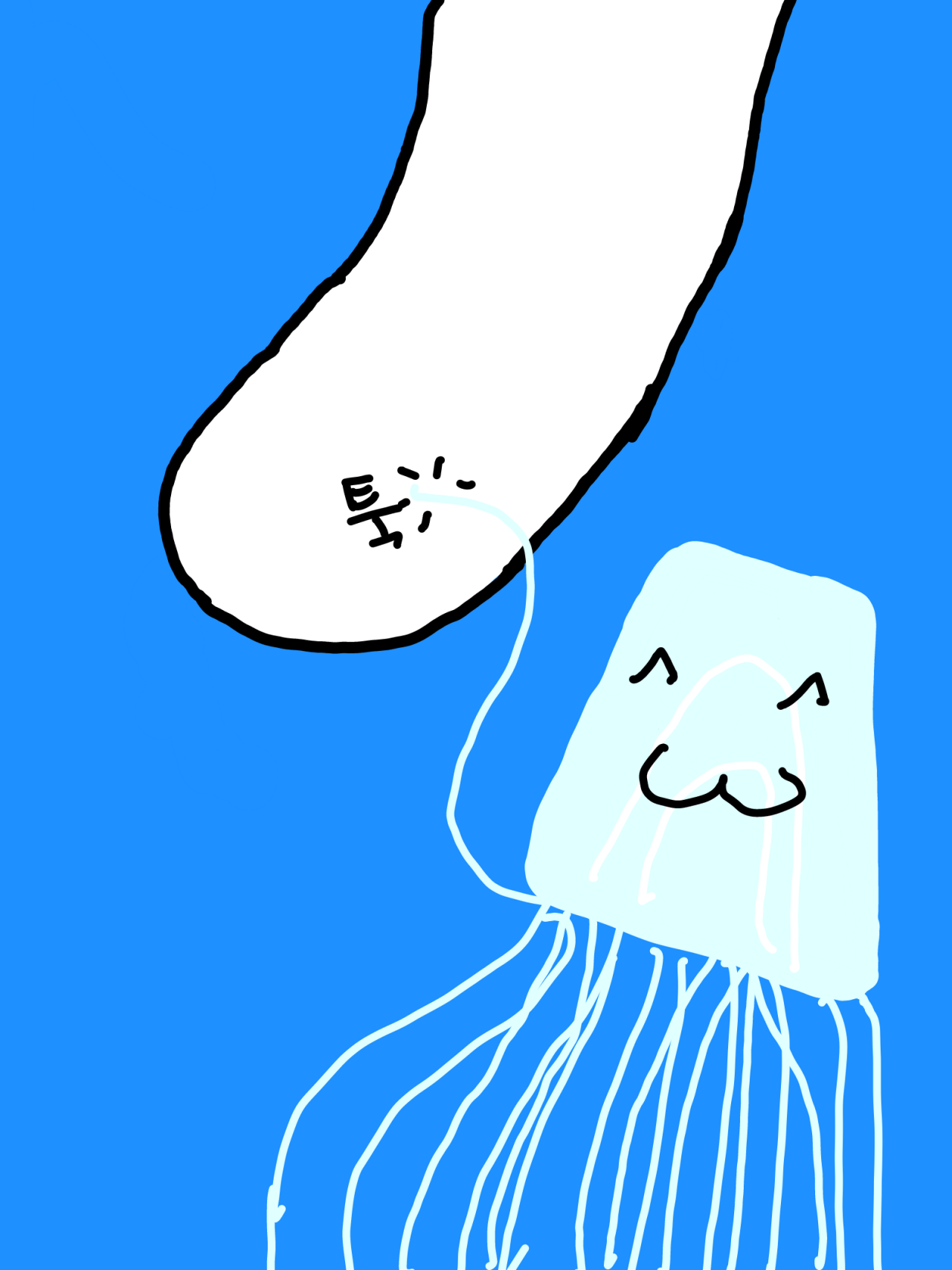 rawingPicture_1646051591876.png 한국에서도 발견되는 맹독성 해파리