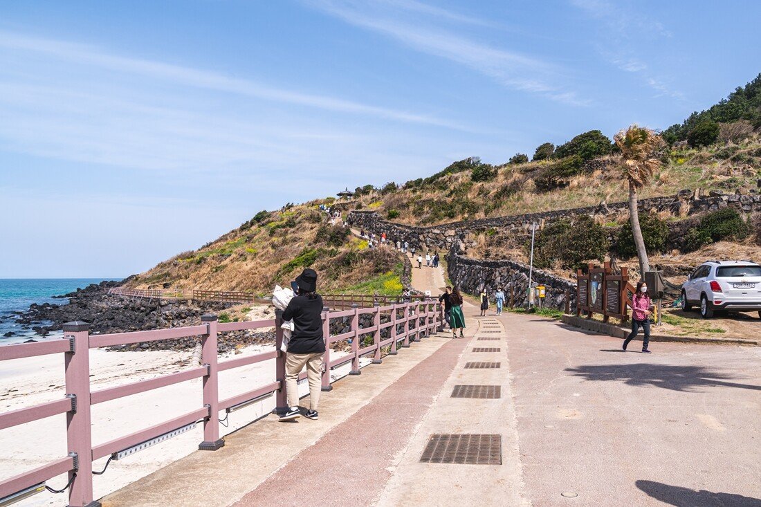 서우봉5.jpg 제주 함덕 서우봉 유채꽃밭