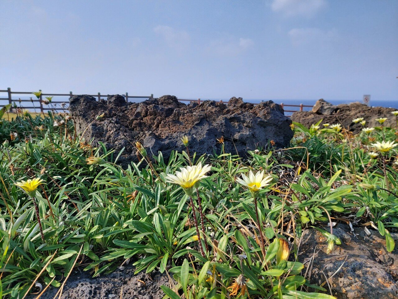 20211101_144209.jpg 뒤늦게 올리는 제주도 여행사진들.jpg