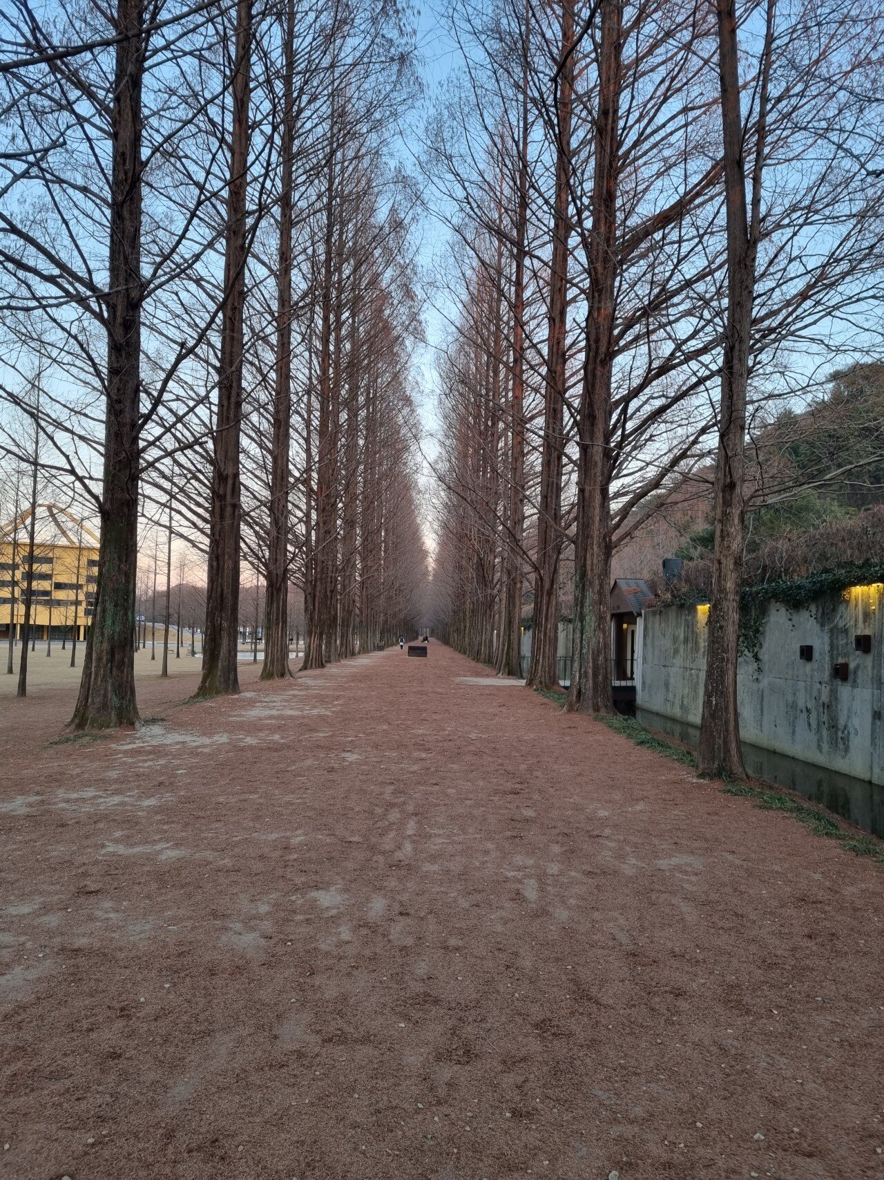 20220118_173852.jpg [국내여행] 1일 담양에서 대나무보고 떡갈비먹은날~