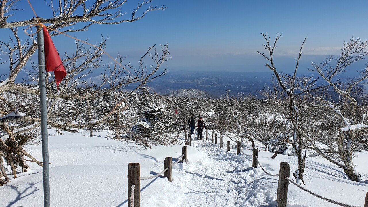 20220210_120327.jpg 제주도 다녀왔어요