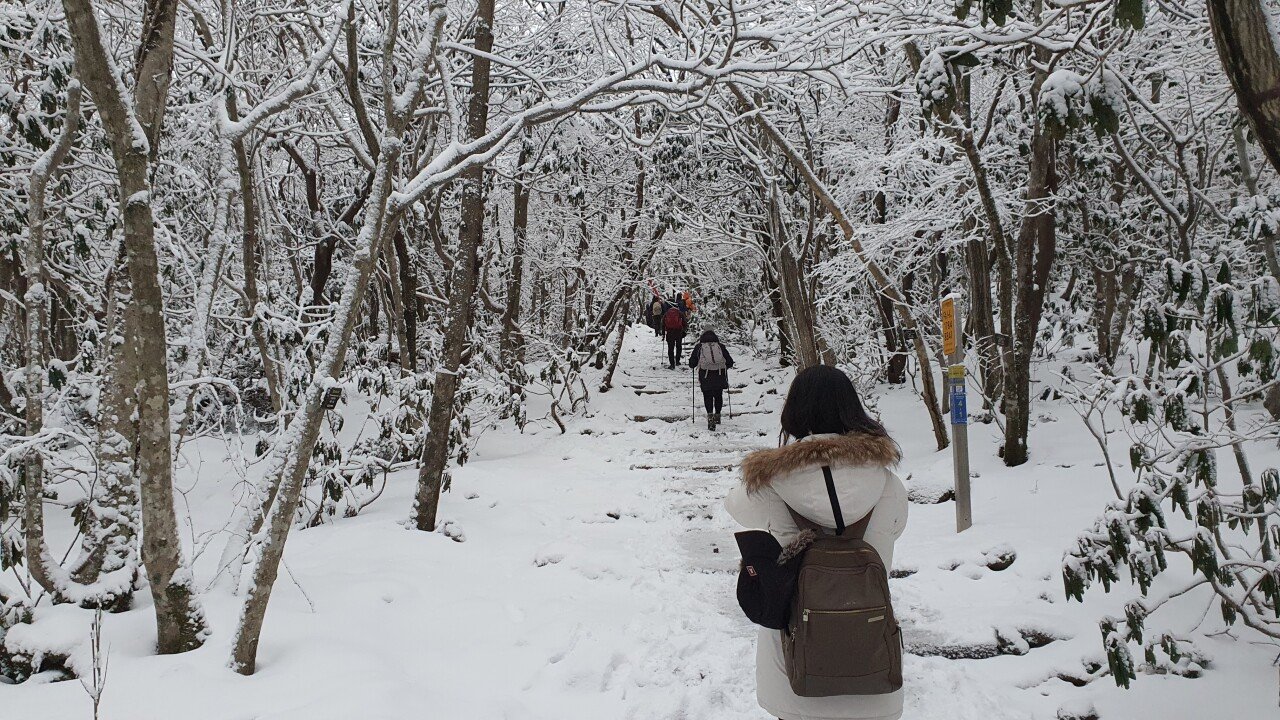 20220210_075350.jpg 제주도 다녀왔어요