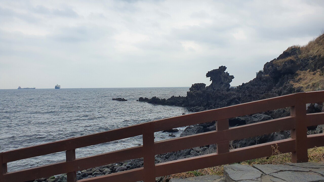 20220209_144700.jpg 제주도 다녀왔어요