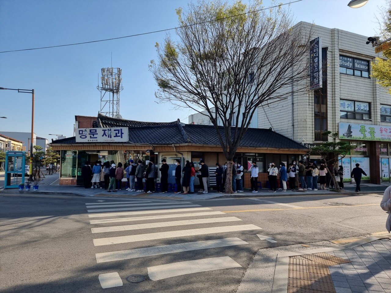 20220407_163543.jpg (스압) 2022년 봄에 다녀온 여행기 번외편 - 여행지에서 먹은 음식들 모음