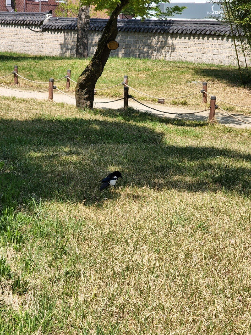 수정됨_20220419_141442.jpg 20대 미혼남성의 전주 1박2일 여행기 입니다,,,,