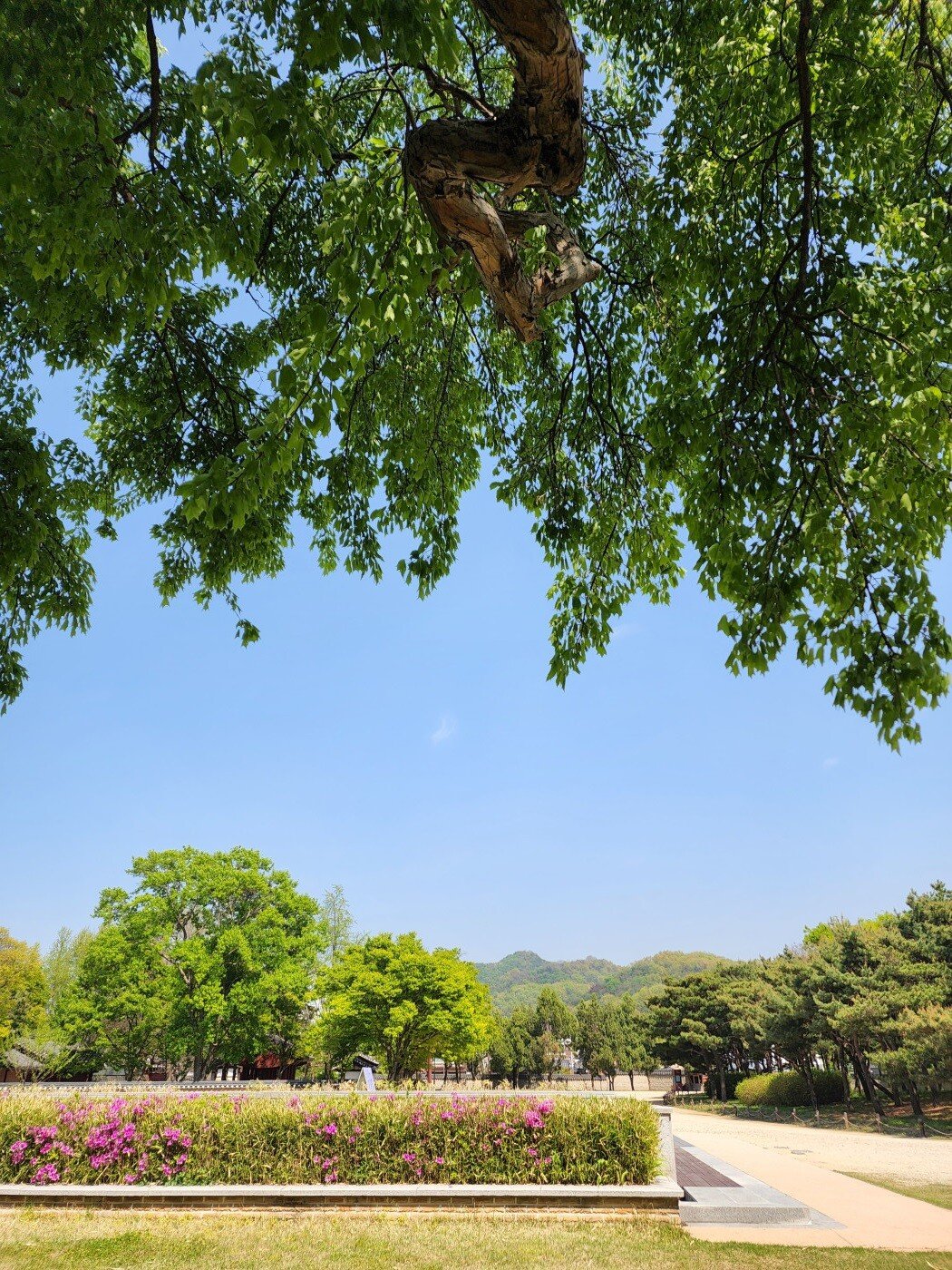 수정됨_20220419_142353.jpg 20대 미혼남성의 전주 1박2일 여행기 입니다,,,,