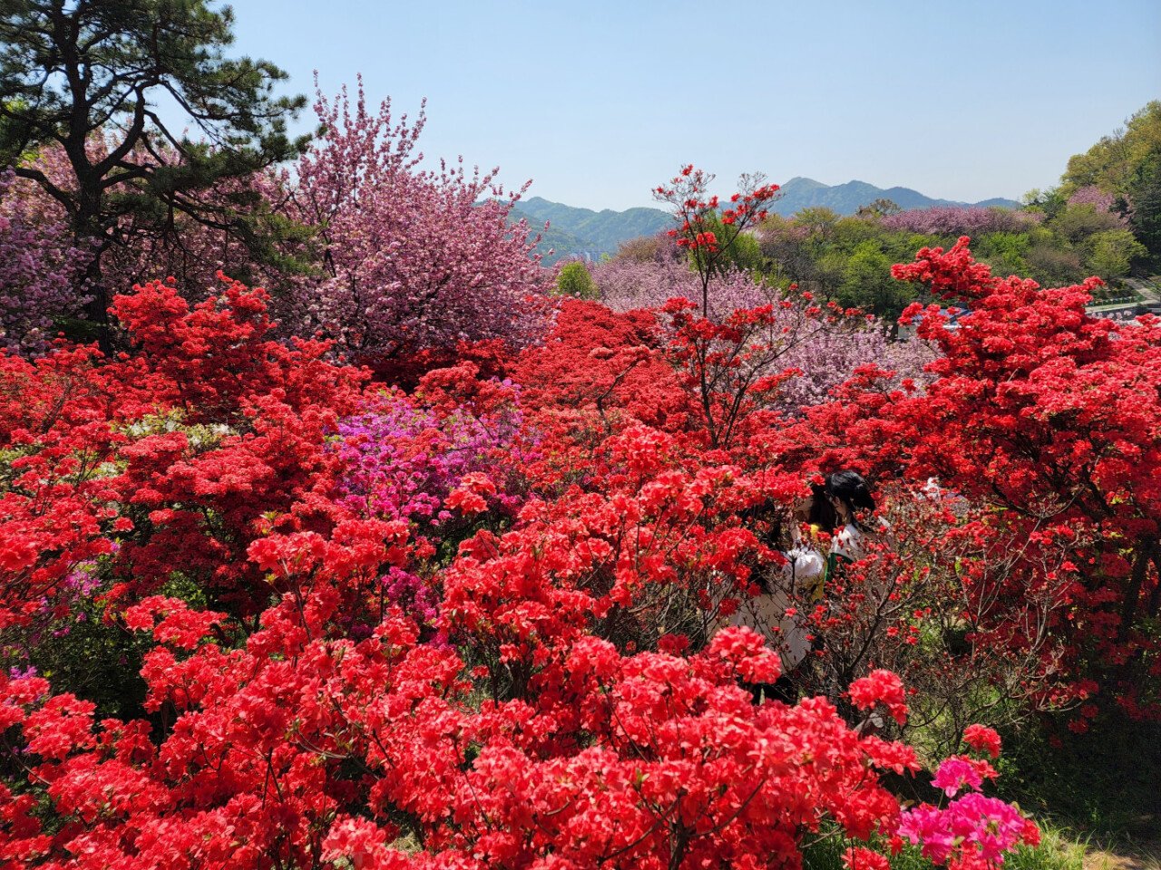 수정됨_20220420_112917.jpg 20대 미혼남성의 전주 1박2일 여행기 입니다,,,,