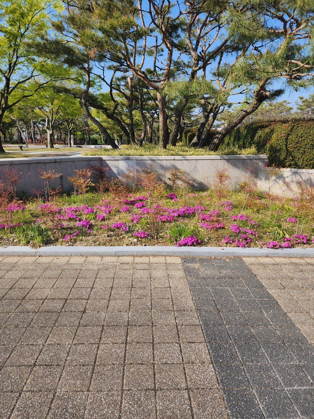 수정됨_20220419_162349.jpg 20대 미혼남성의 전주 1박2일 여행기 입니다,,,,