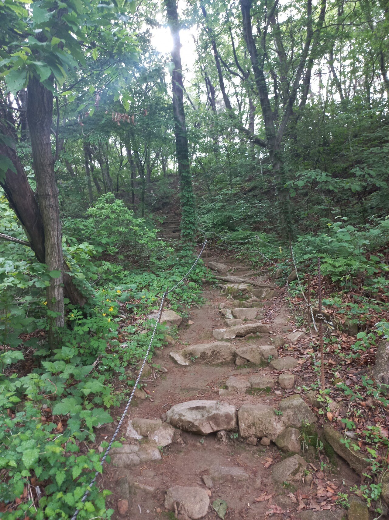 20220509_085026.jpg (스압)홀로 국토대장정 대구에서 서울까지 1: 시작부터 큰일남 1부