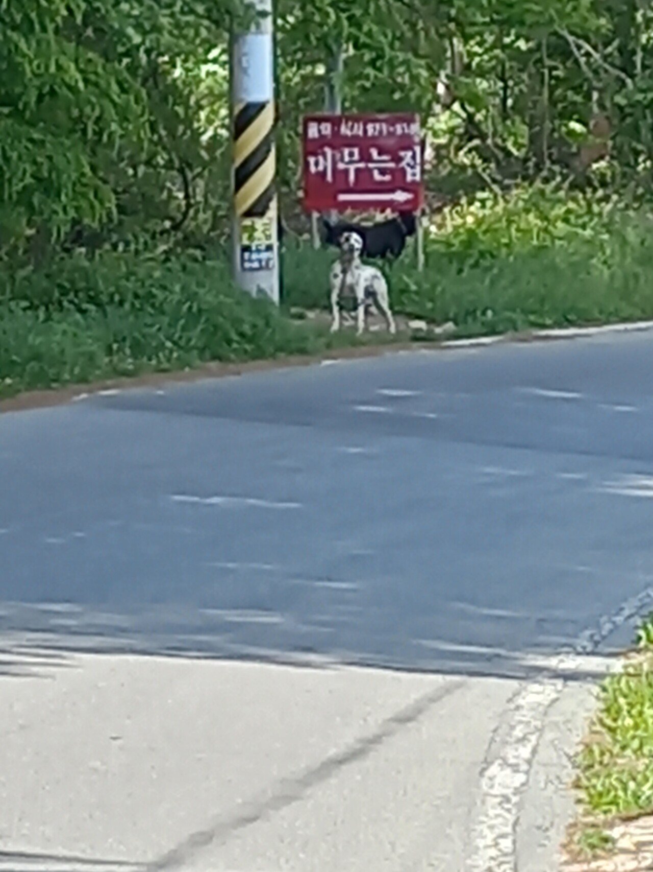 20220509_142739.jpg (스압) 나 홀로 국토대장정: 대구에서 서울까지 시작부터 큰일난듯 2부