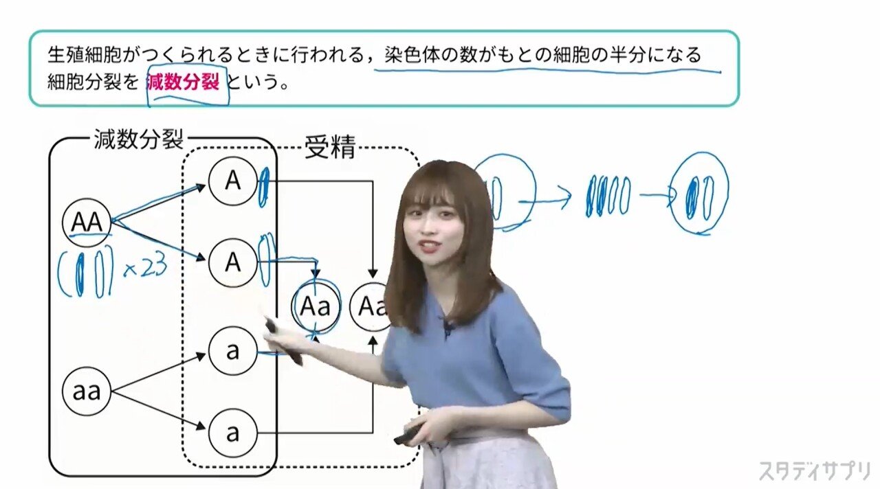 授業3-11.jpg 일본 미녀 의대생 1타 인강강사