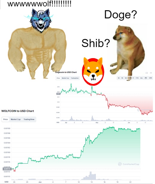 dogewolf.jpg