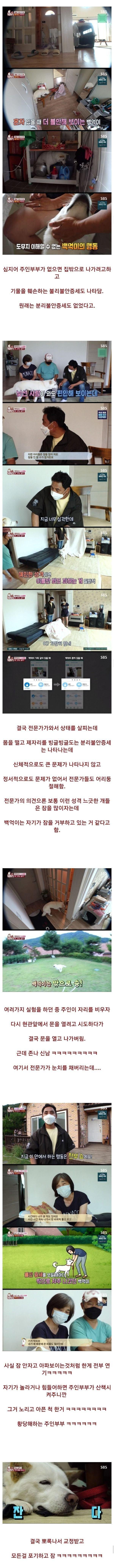 충격적 결말이었던 불면증 걸린 개1.jpg