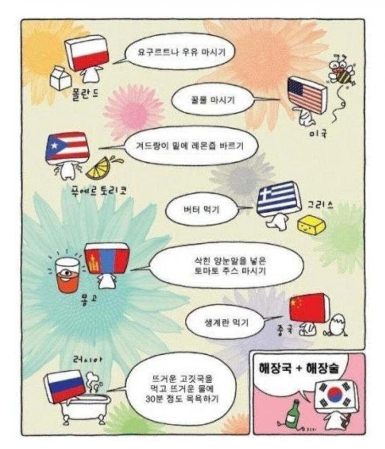 국가별 숙취 해소법.jpg