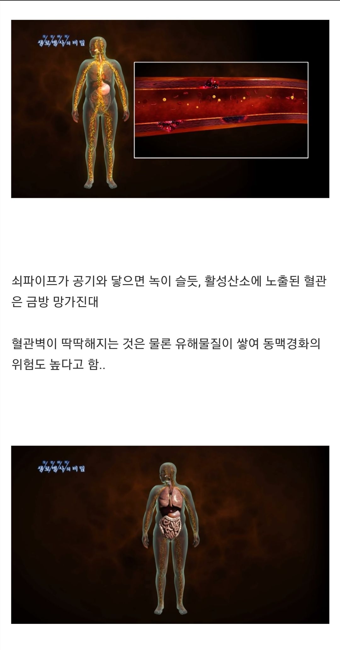 사본-Screenshot_20221110-215222_Chrome_20230103_051101.jpeg.jpg