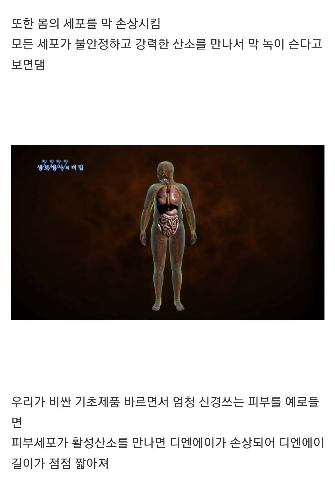 사본-Screenshot_20221110-215239_Chrome_20230103_051108.jpeg.jpg