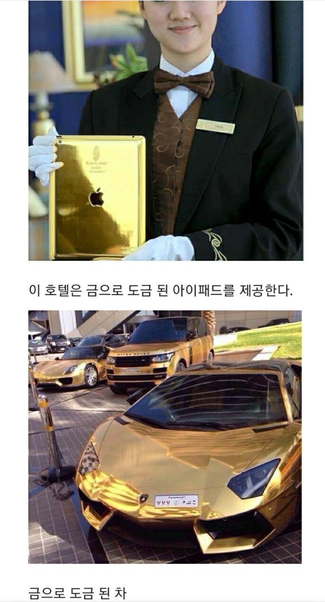 Screenshot_20230326_195413_NAVER.jpg