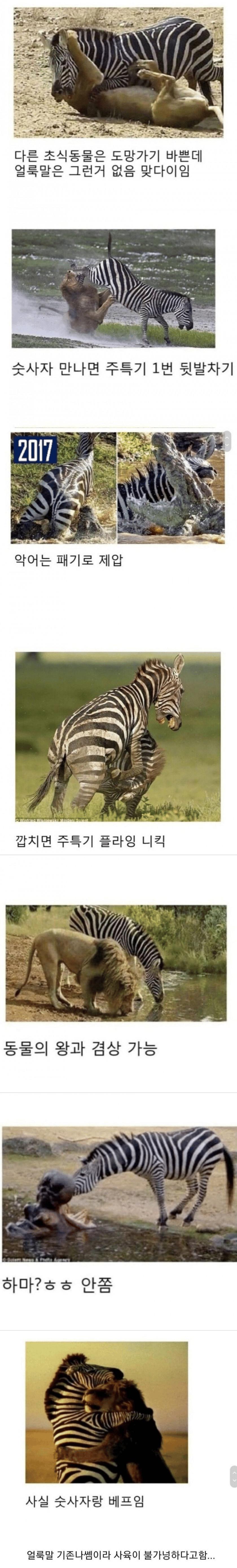 사본-NPQjSY_20240209_021134.png.jpg