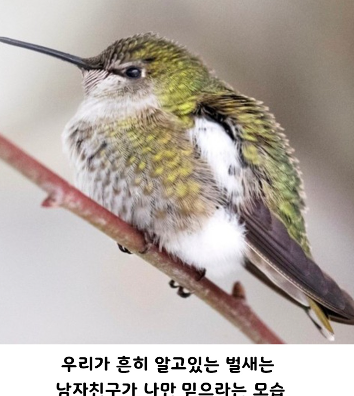 화면_캡처_2024-07-19_123547.png