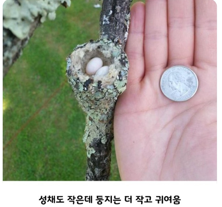 화면_캡처_2024-07-19_123530.png