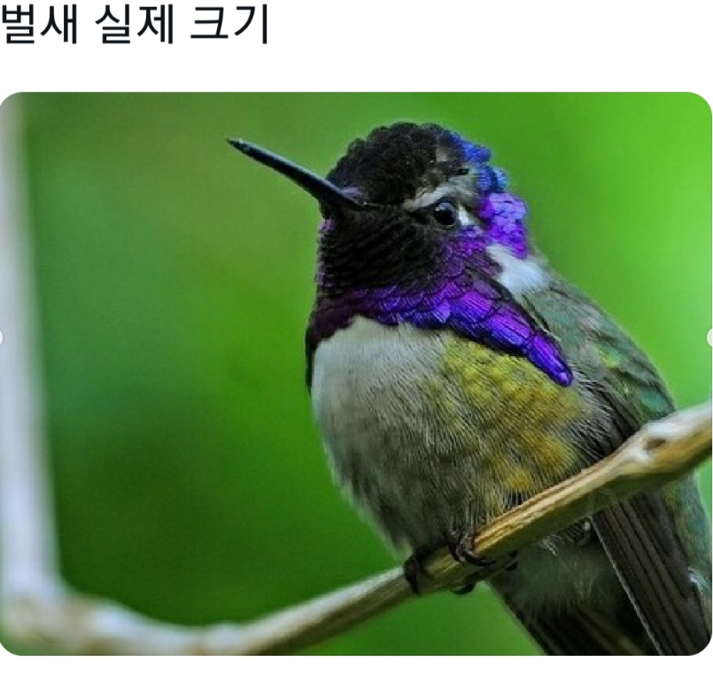 화면_캡처_2024-07-19_123540.png