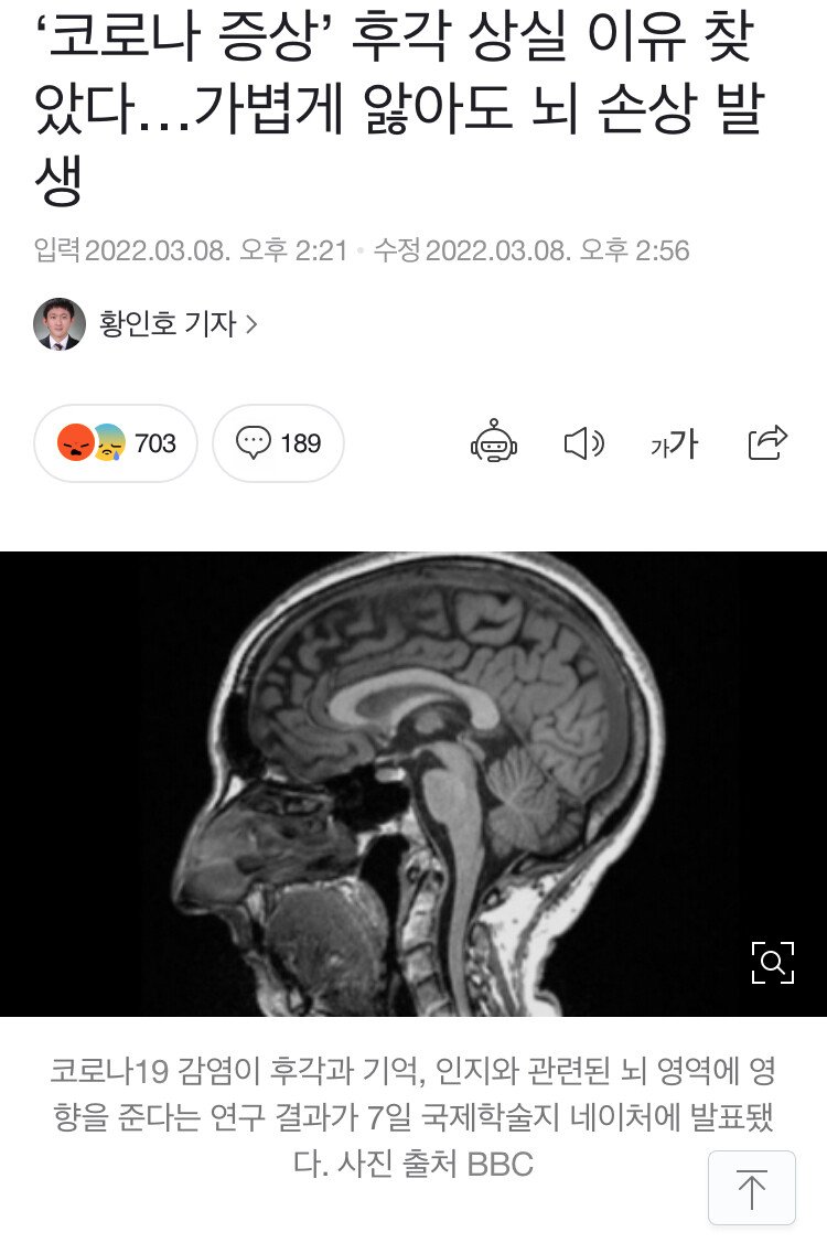 후각 상실 이유.jpg