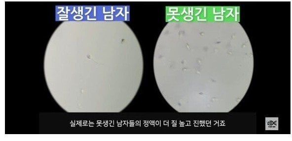 못생긴 남자의 정액이 더 우수한 이유.jpg