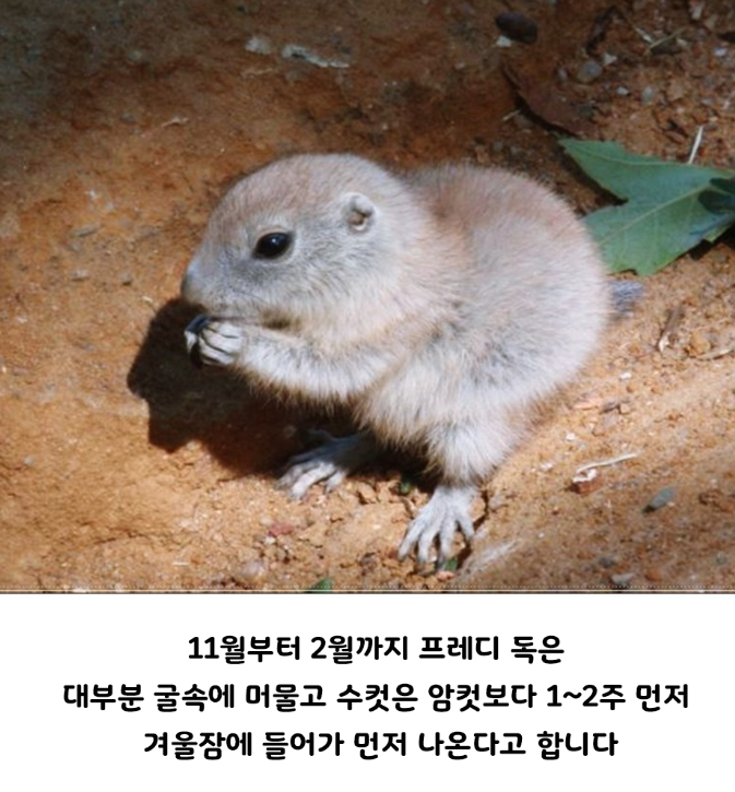 화면_캡처_2024-10-30_170058.png