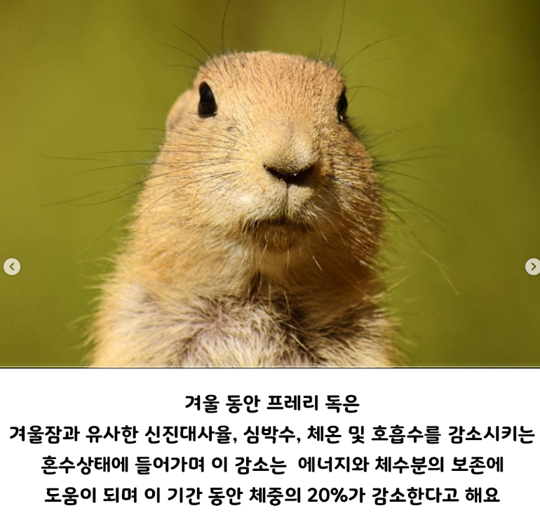 화면_캡처_2024-10-30_170106.png