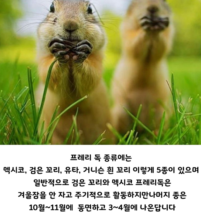 화면_캡처_2024-10-30_170046.png