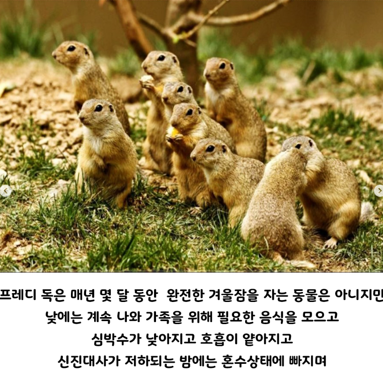 화면_캡처_2024-10-30_170052.png