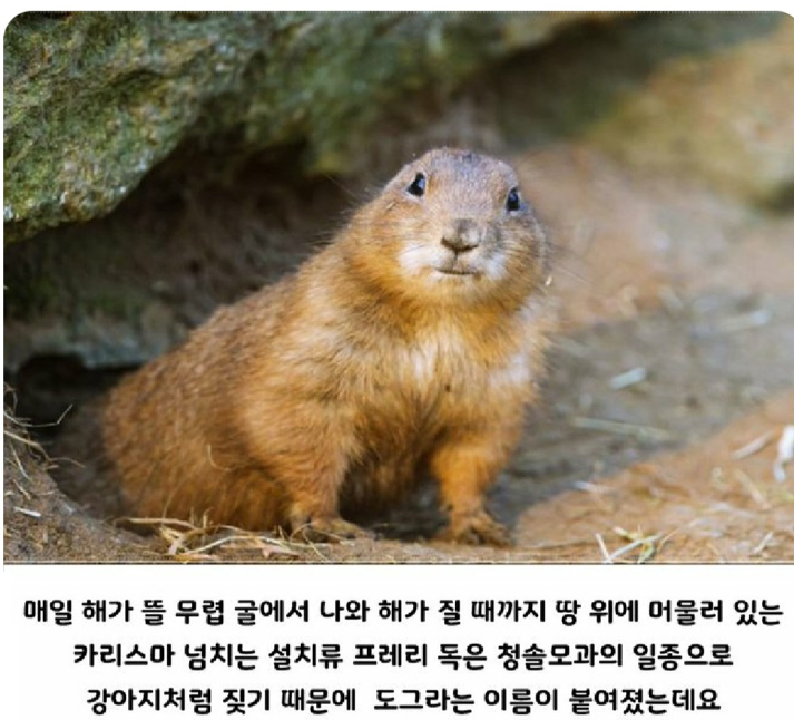 화면_캡처_2024-10-30_170025.png