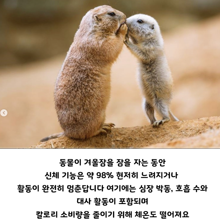 화면_캡처_2024-10-30_170112.png