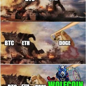 울프코인이 전세계에 이름을 알리는 순간 - WOLFCOIN