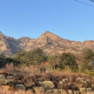 3월 나홀로 영암 월출산 등산 후기입니다