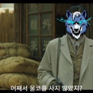 내가 예전에 울코 사라고 했잖아! WOLFCOIN