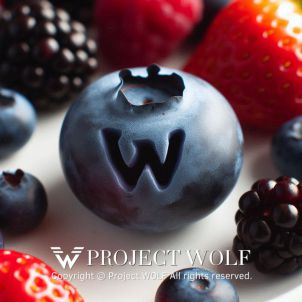 Project Wolf / W - Blueberry